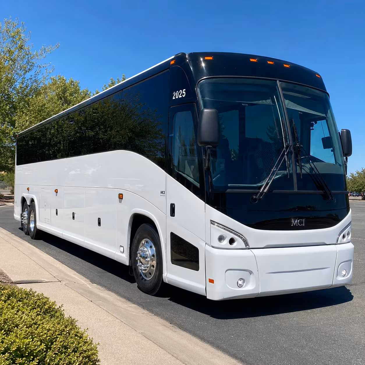 nampa to yellowstone national park multi day bus trips made easy